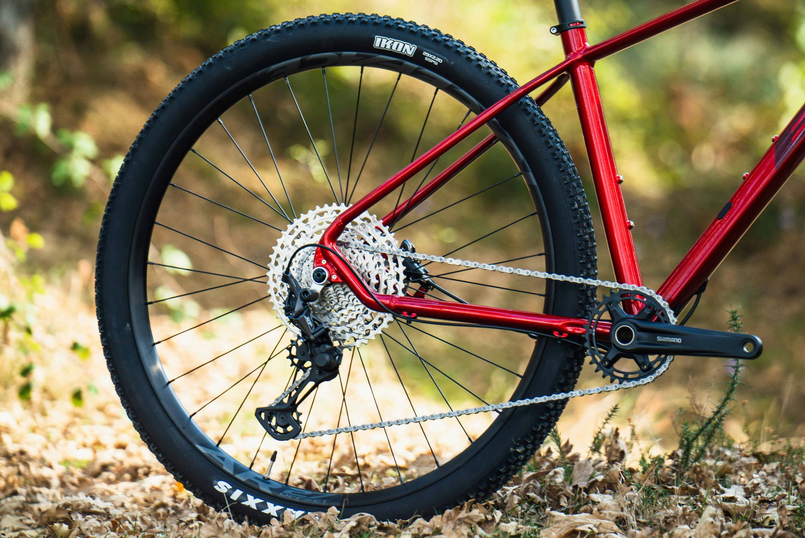 BH EXPERT 5.5