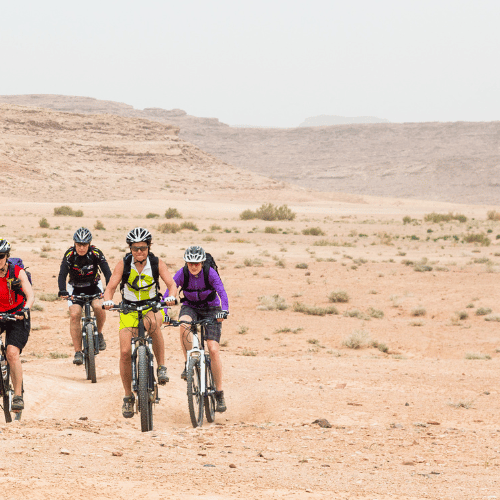 Transforming Education