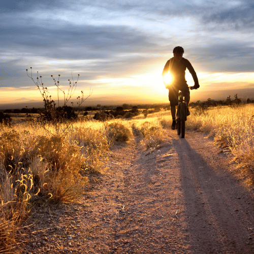 Pedaling Towards a Sustainable Future