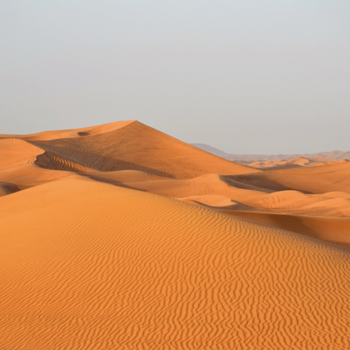 Cycling Under the Dubai Sun