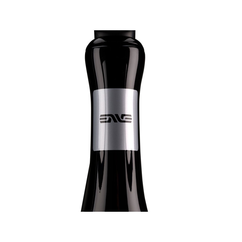ENVE MELEE FRAMESET GLOSS BLACK